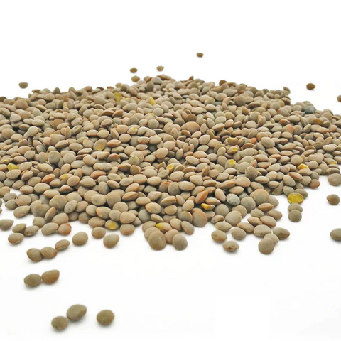 Whole Olive Green Lentils, 500g