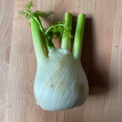 Fennel Organic (per piece)