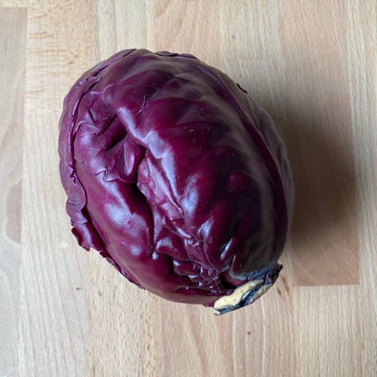 Cabbage, Red (1 piece) Organic