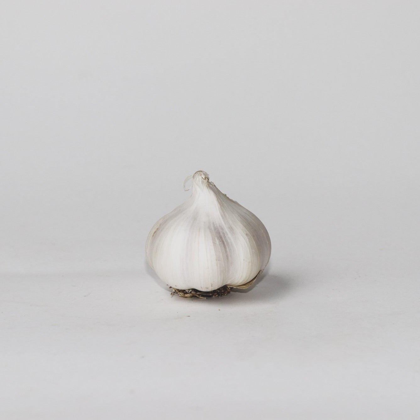 Garlic, Organic (1 bulb)