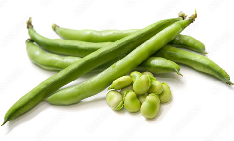 Beans, Broad, Organic (300g)