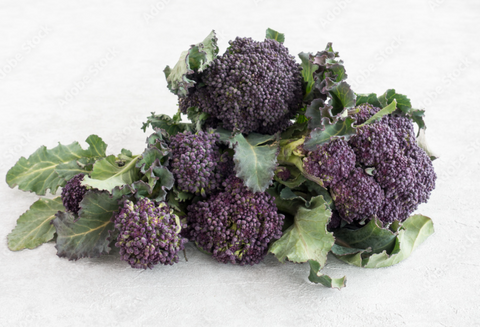 Broccoli. Purple Sprouting, Organic (250g)