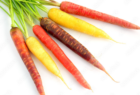 Carrots, Rainbow Bunched, Organic (500g)