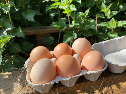 Organic Free Range Eggs (Box of 6)
