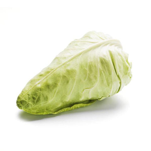 Pointed Cabbage, Organic (1 piece)