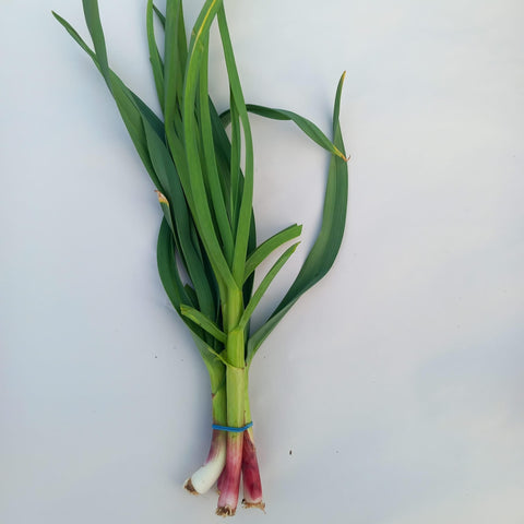 Spring Garlic, Organic (bunch)